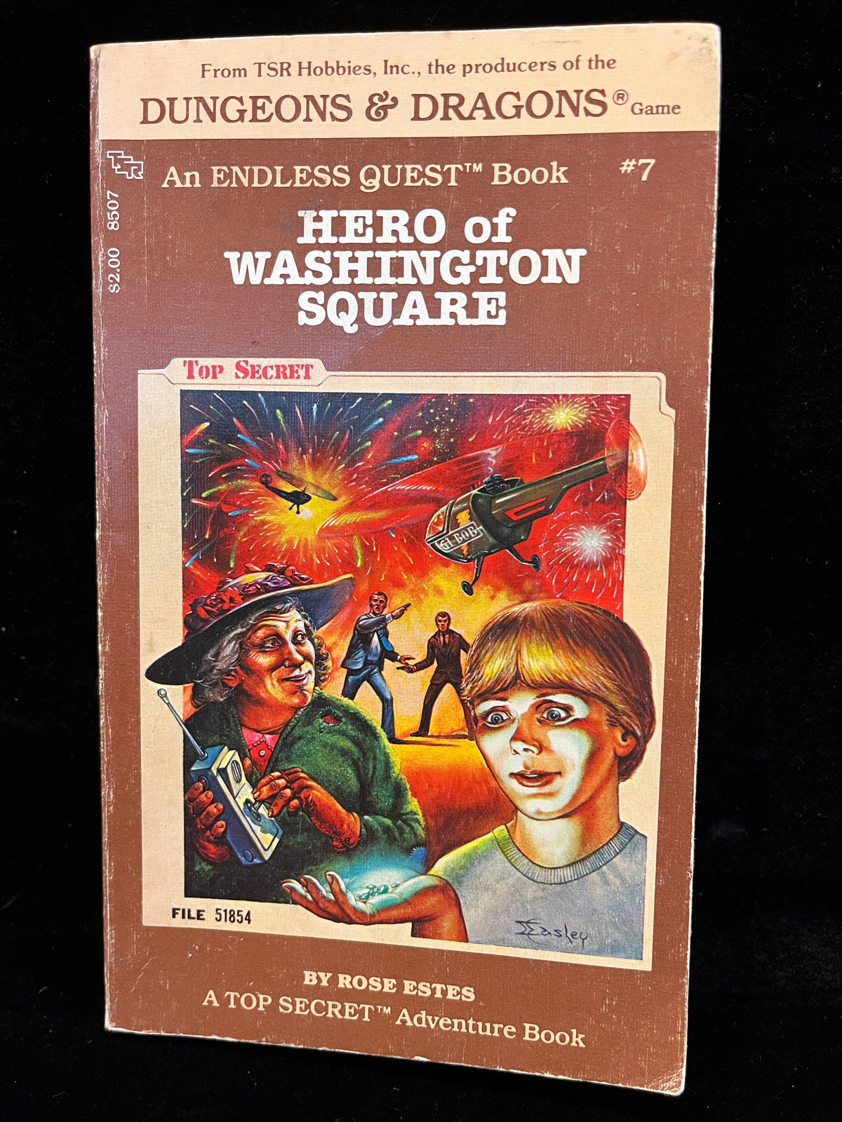 Hero of Washington Square by Rose Estes