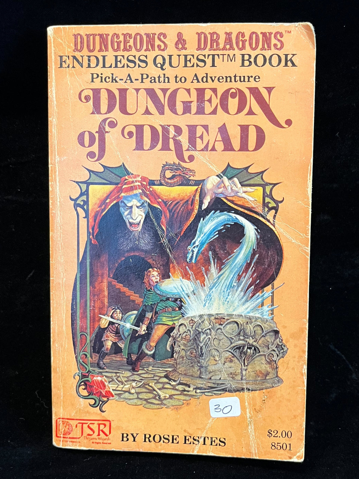 Dungeons of Dread by Rose Estes