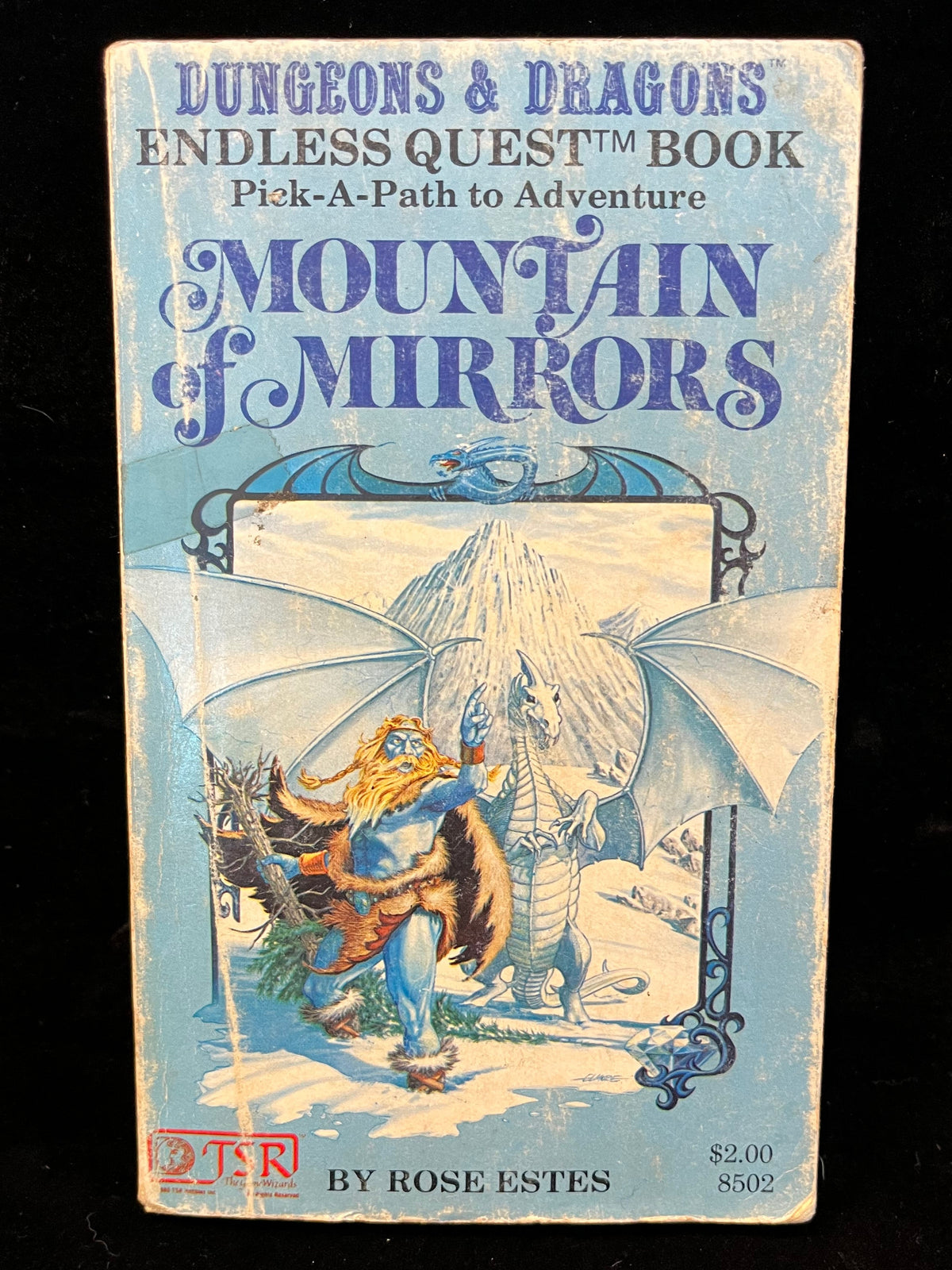 Mountain of Mirrors by Rose Estes